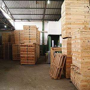 fabricante de pallet de madeira fabricante de pallet de madeira